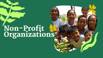 Non-Profit Organizations